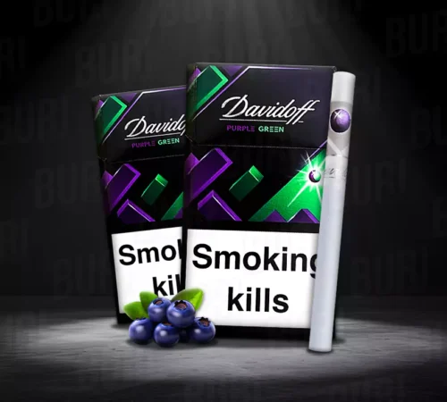 DAVIDOFF PURPLE GREEN